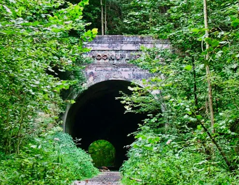 Zaleski State Forest