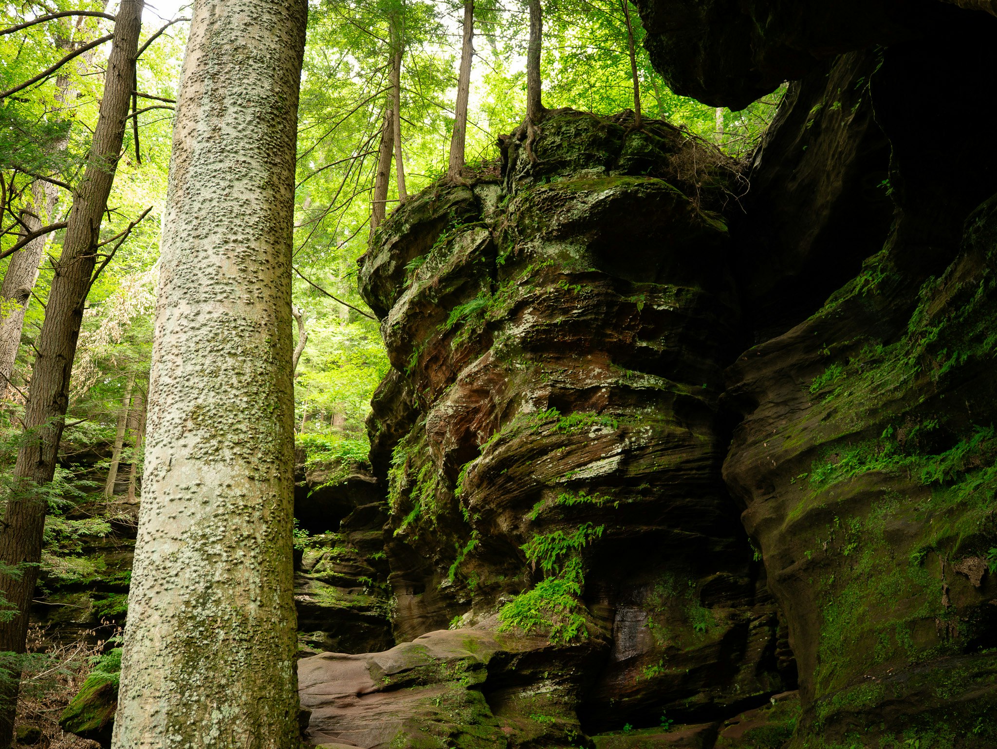 Rock House