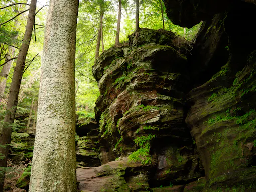Rock House