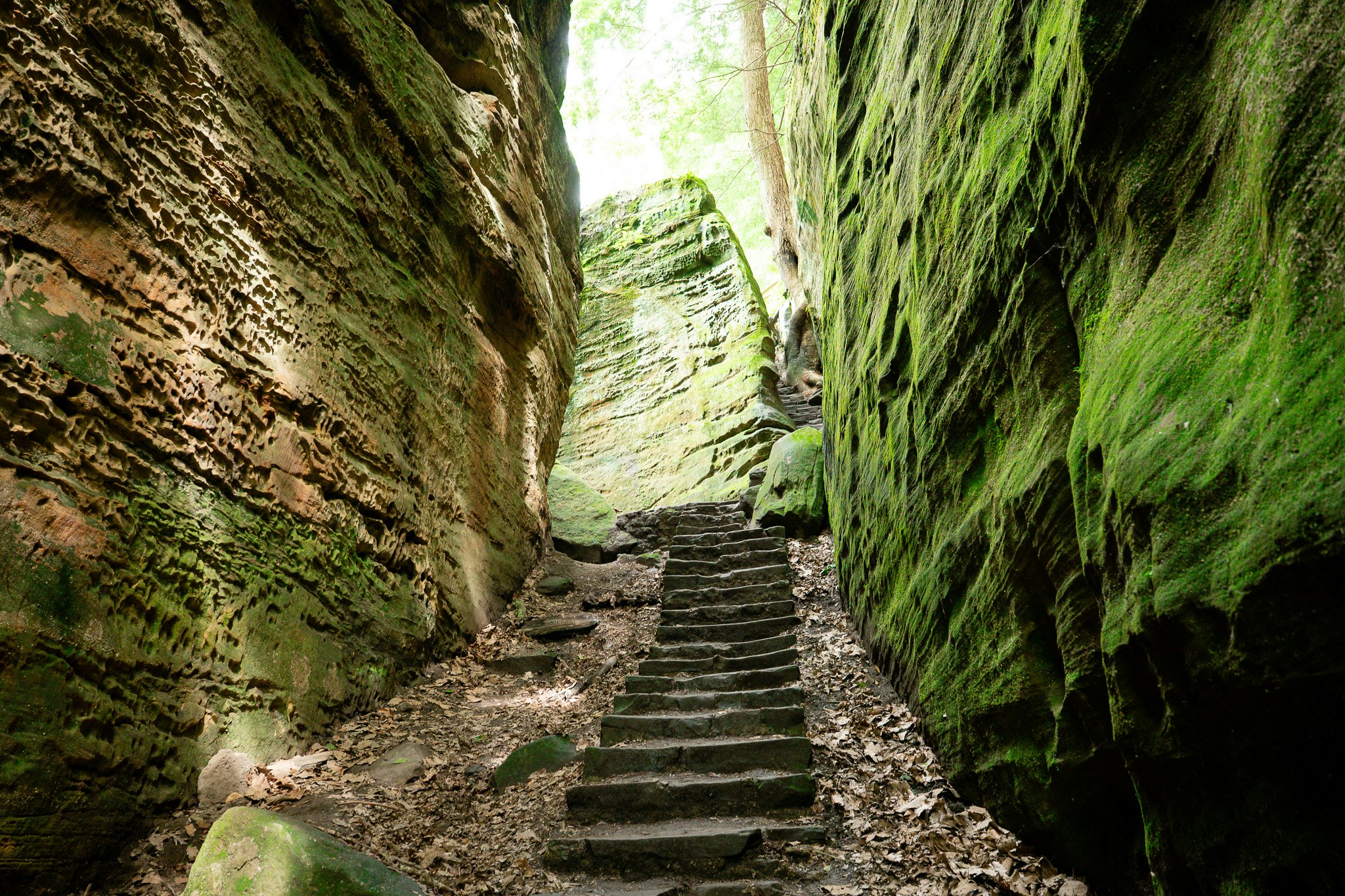 Cantwell Cliffs