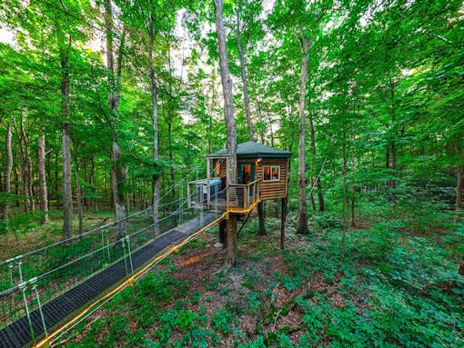 Among the Trees Lodging - Treehouses