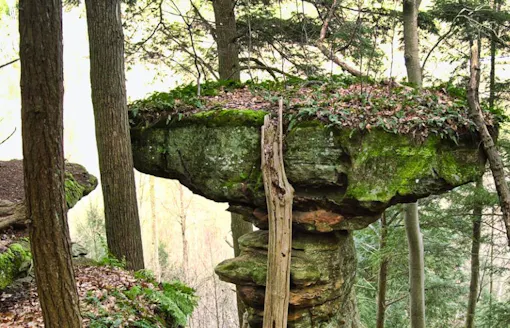 Hocking State Forest