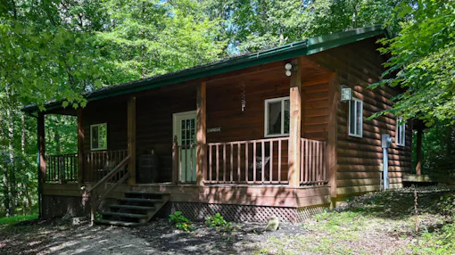 A Beary Cozy Cabin