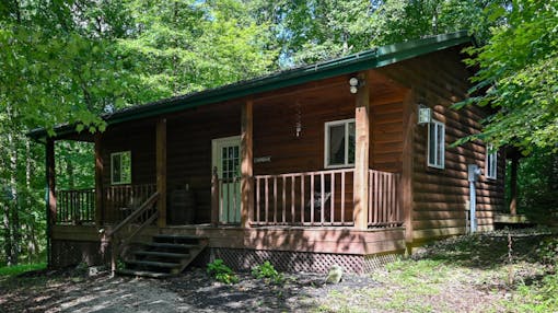 A Beary Cozy Cabin