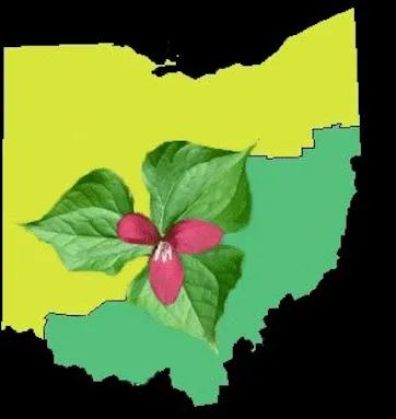 Appalachia Ohio Alliance