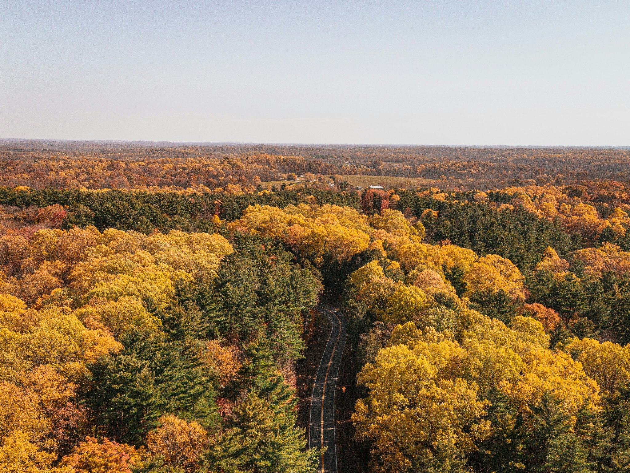 DJI_0875.jpg