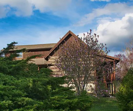 Grand Oak Cabin