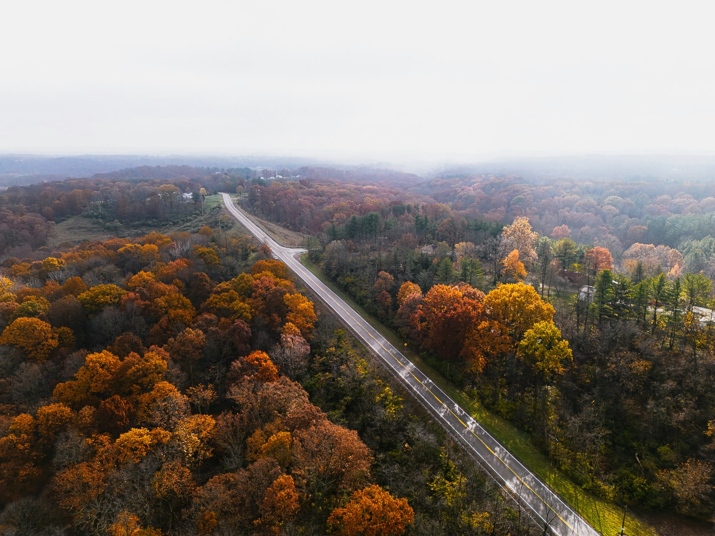 DJI_0887.jpg (1)