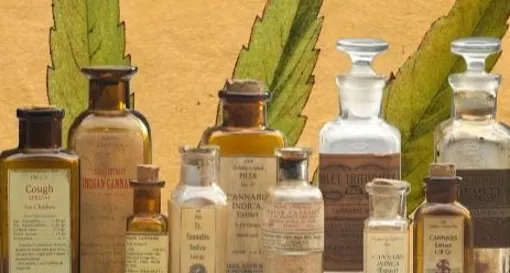 Cannabis Museum