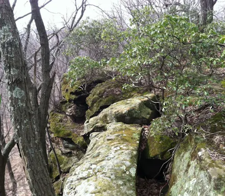 Shallenberger State Nature Preserve