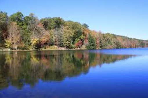 Rose Lake