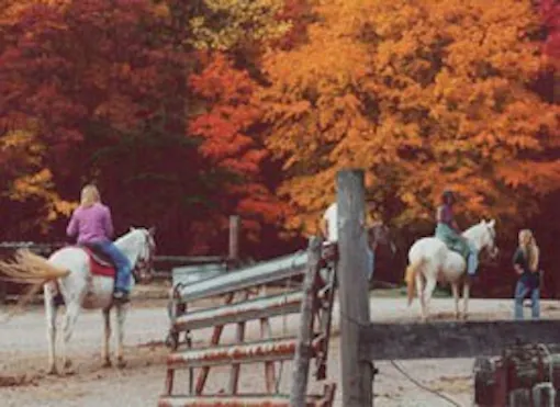 Uncle Buck’s Riding Stable