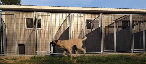 Hocking Hills Boarding Kennel