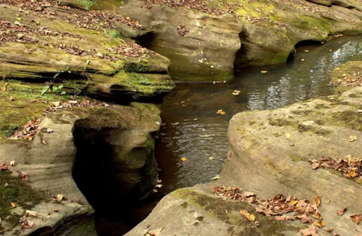 Boch Hollow State Nature Preserve