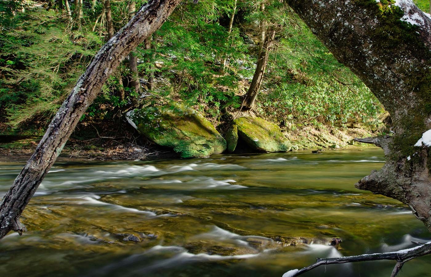 Clear Creek Metro Park