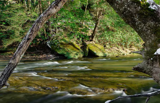 Clear Creek Metro Park