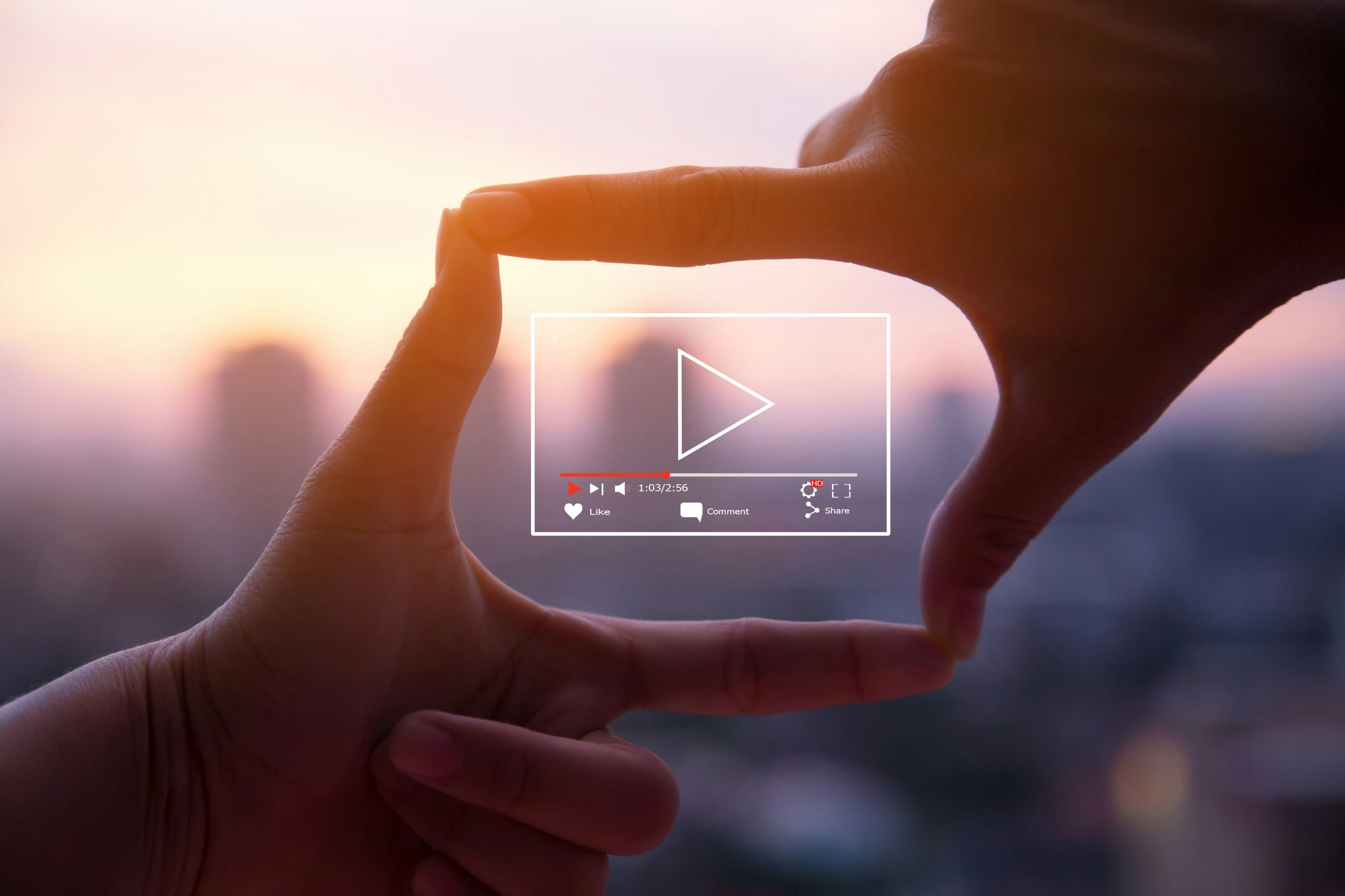 Video Gallery
