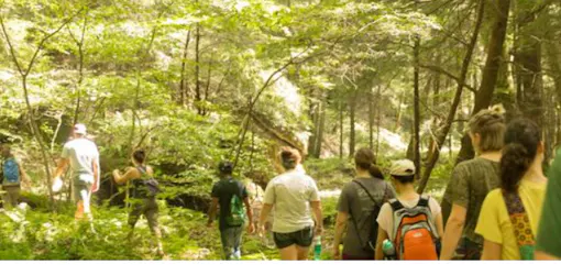 Crane Hollow Nature Preserve