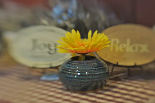 Inn & Spa at Cedar Falls (Spa)