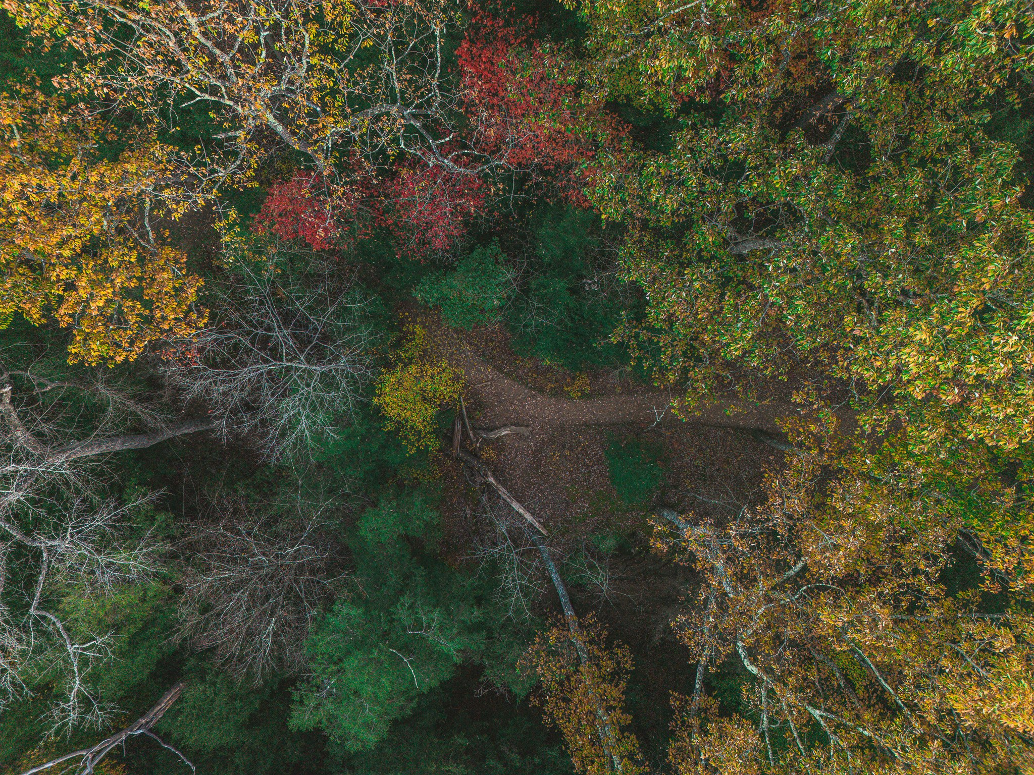 DJI_0863.jpg